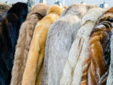 全球服裝童裝銷售 市場未來展望